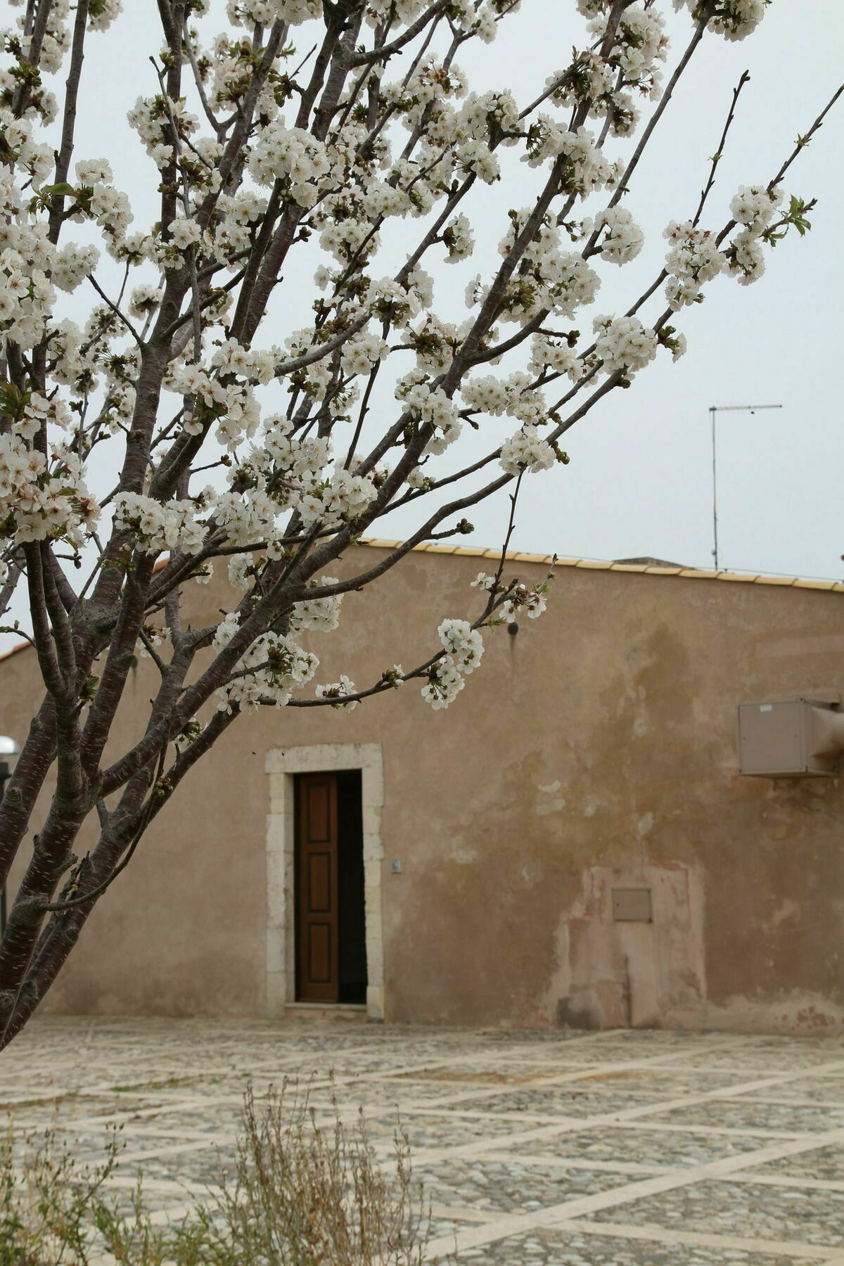 Eremo Madonna Delle Grazie Casa de hóspedes Avola Exterior foto